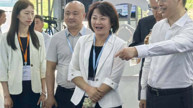 刹车片与刹车蹄片：汽车制动系统的关键部件解析